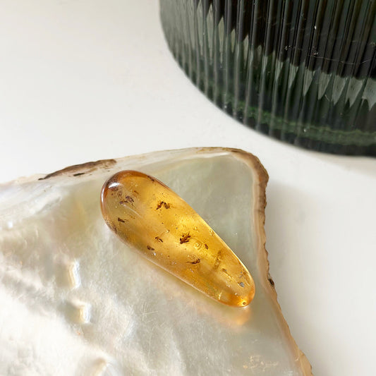 Copal Amber with bugs from Madagascar