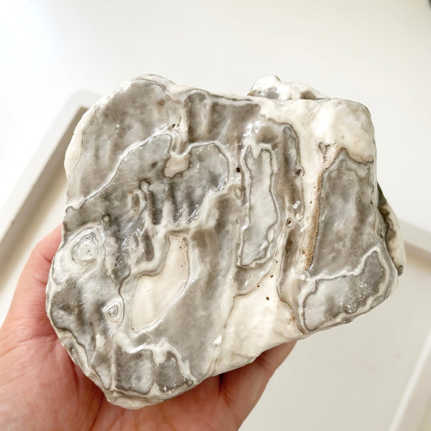 Zebra Jasper Rough - 996g