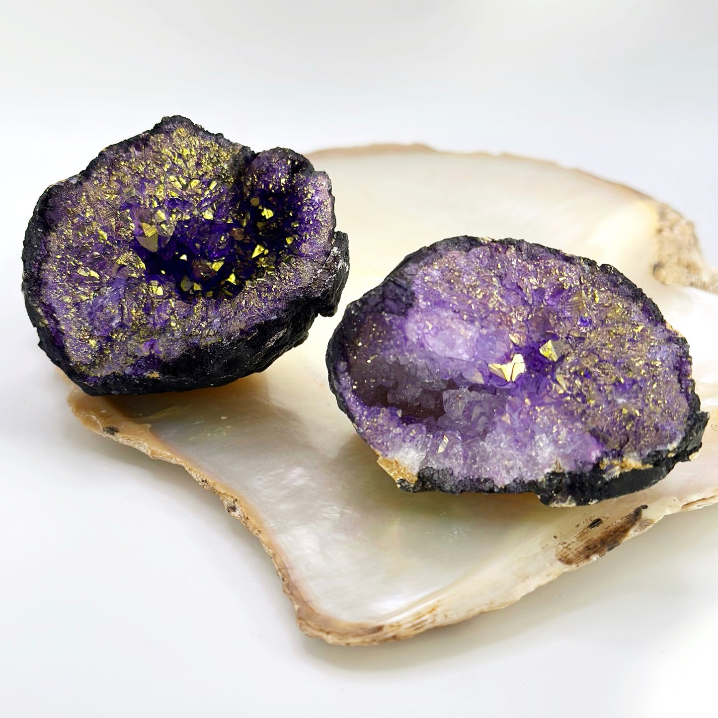 Thunder Egg Geode Whole - Small Golden Purple