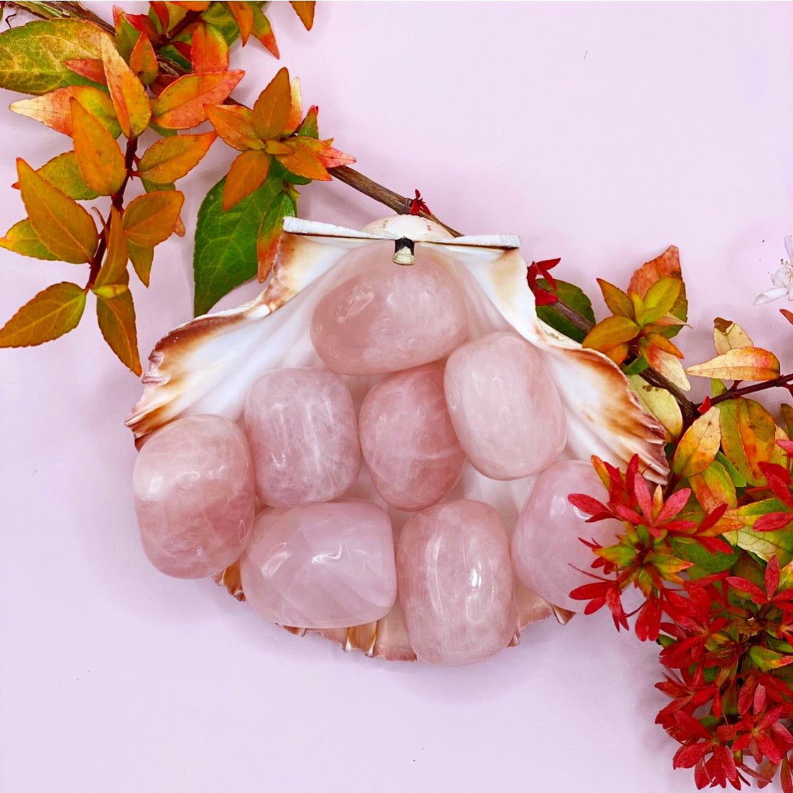 A+ Grade Rose Quartz Tumbled Stone