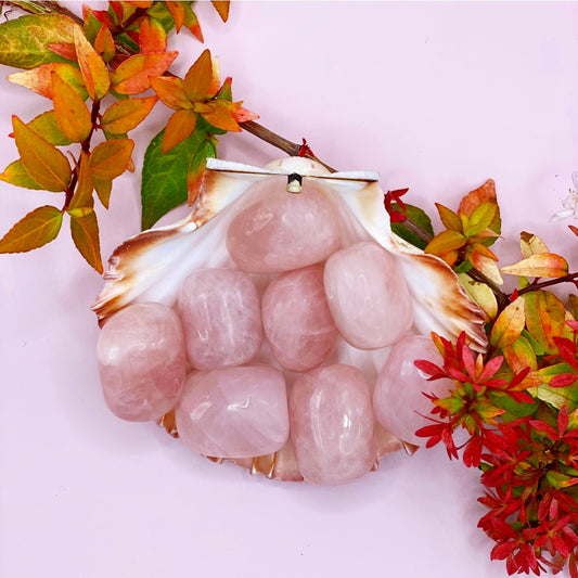 A+ Grade Rose Quartz Tumbled Stone