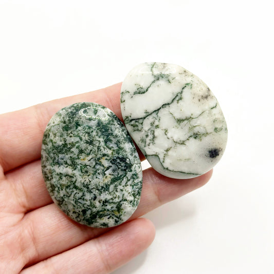 Tree Agate Palm Stone