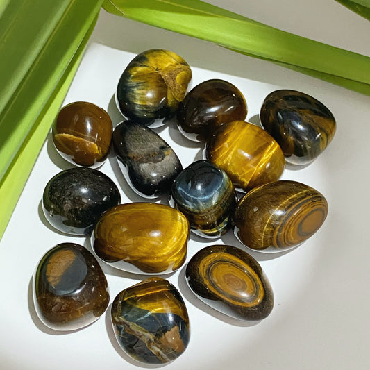 Tiger's Eye Tumbled Stone