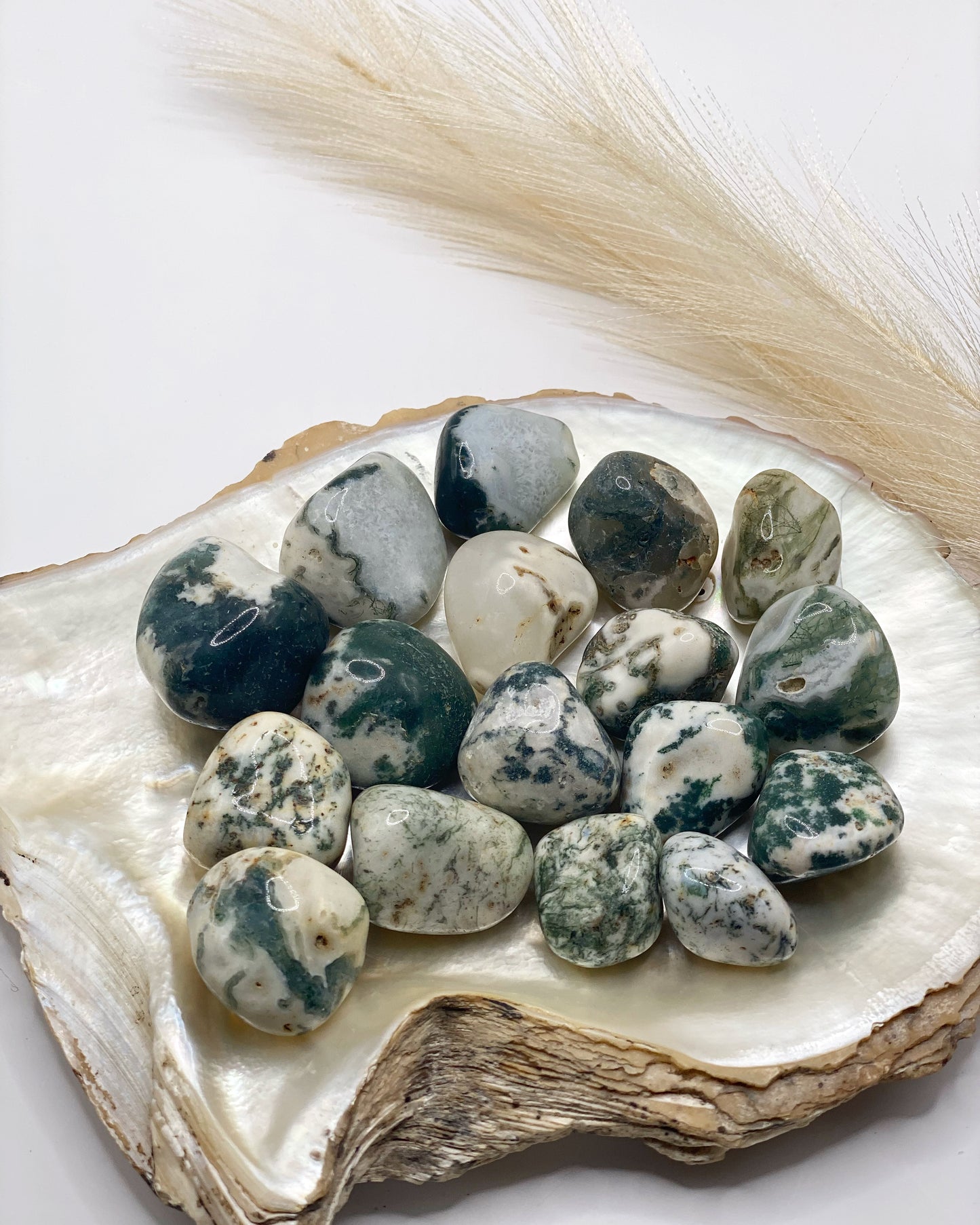 Tree Agate Tumbled Stone