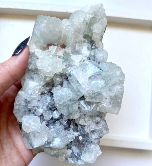 Rare Apophyllite Cluster with Black Chalcedony