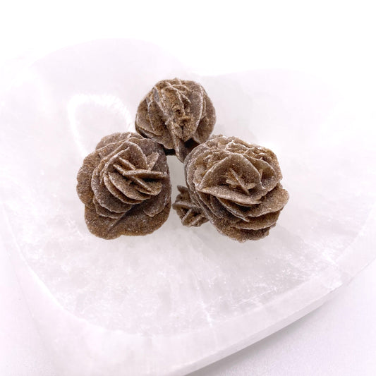 Desert Rose - Small