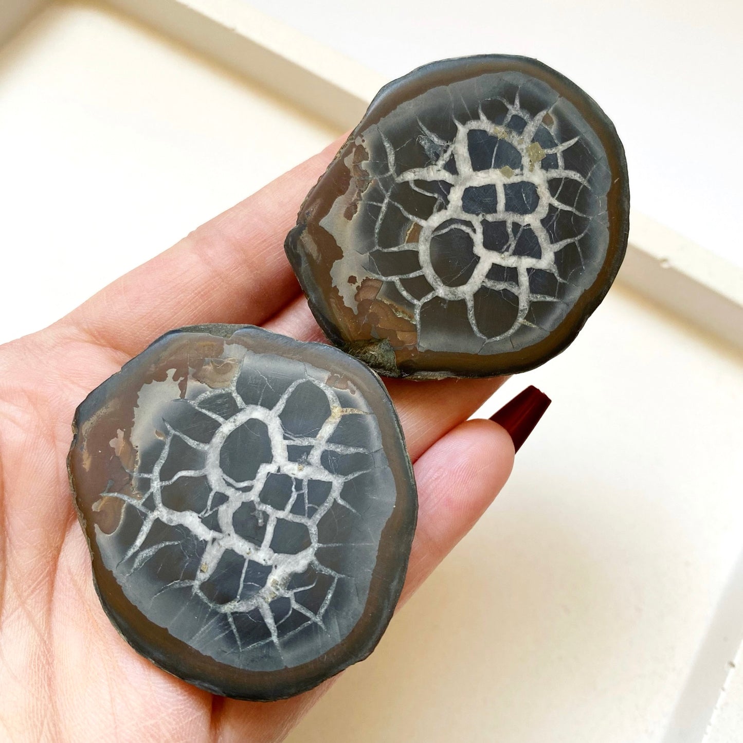 Septarian Geode Pair